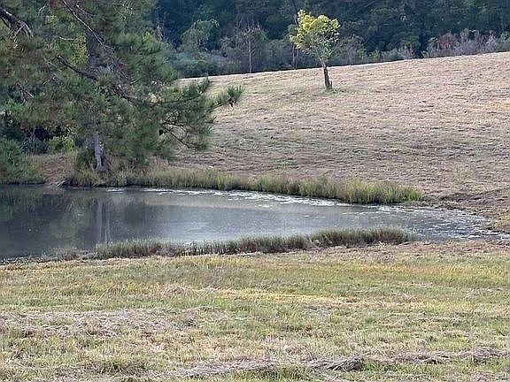 5th image of 3633 Red Cut Loop Rd