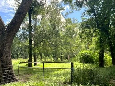 4 bed, 2.5 bath, 3138 sqft, $4,500 — Photo 2