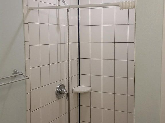 Master shower