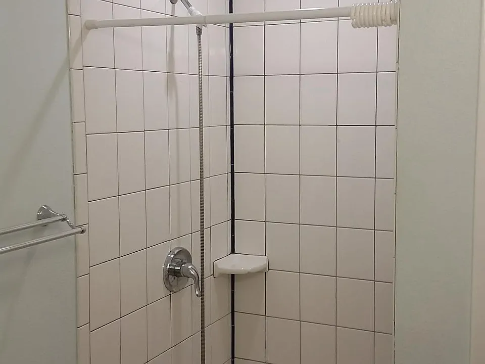 Master shower