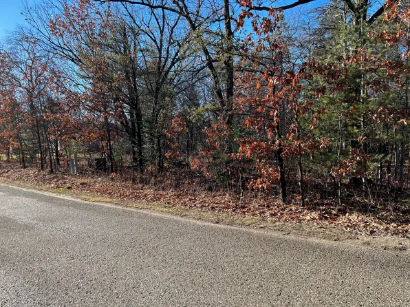 LOT 21 & 22 Berry Ln, Indian River, MI 49749