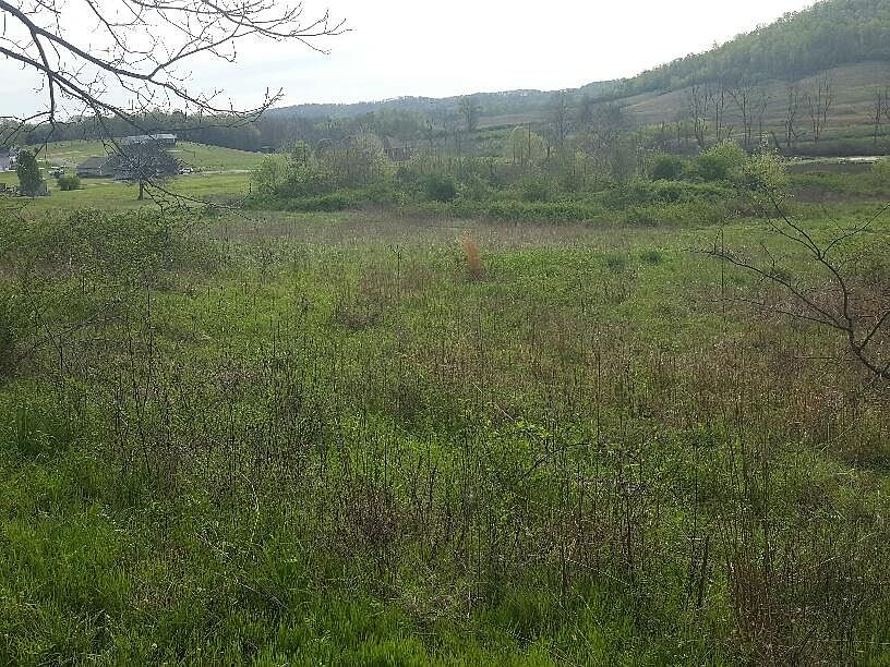 2nd image of 1404 Swan Pond Circle Rd