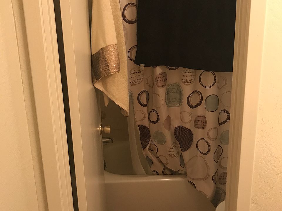 Toilet/Shower (separate from bathroom vanity)