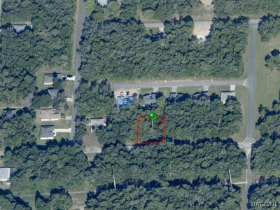 10578 N Allwood Ter, Citrus Springs, FL, 34434