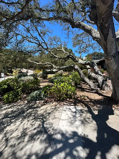 6845 Lakeview Drive - 1 — Photo 3