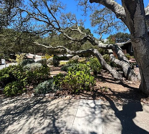 3rd image of 6845 Lakeview Dr #1
