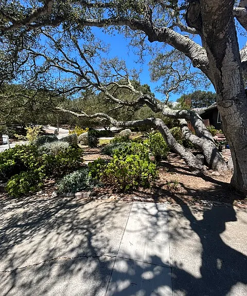6845 Lakeview Dr #1 — Photo 3