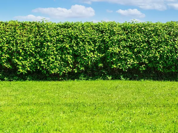 1039 Country Ct, Crete, IL 60417