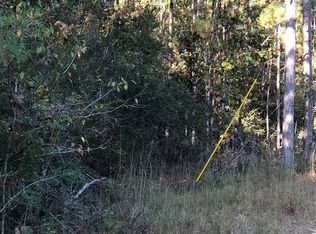 Chuck Penton Rd LOT 3, Carriere, MS 39426