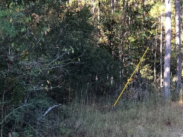 Chuck Penton Rd Lot 3, Carriere, MS 39426