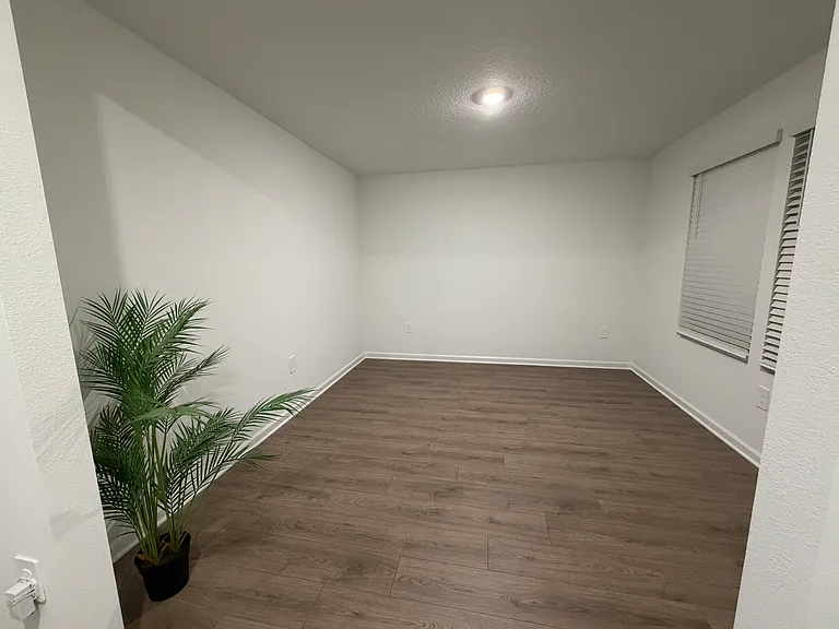 4453 White Ibis Ln — Photo 14