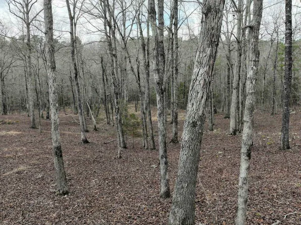 Dogwood Springs Ln, Mena, AR 71953