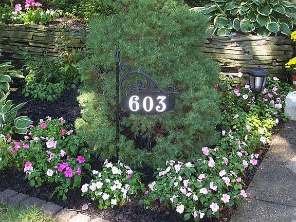 Front Yard