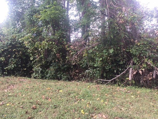 2nd image of 1235 Murdoch Ave
