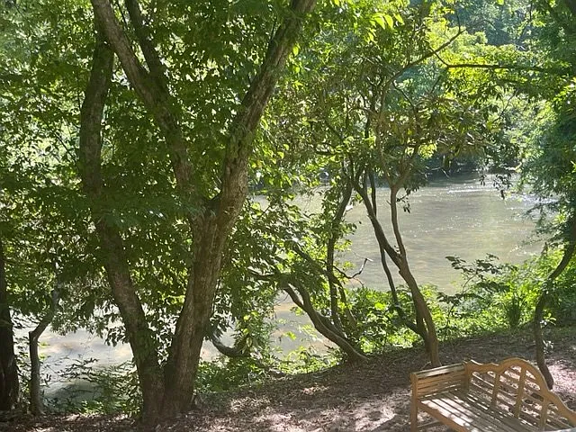 637 Riverside Dr E — Photo 12