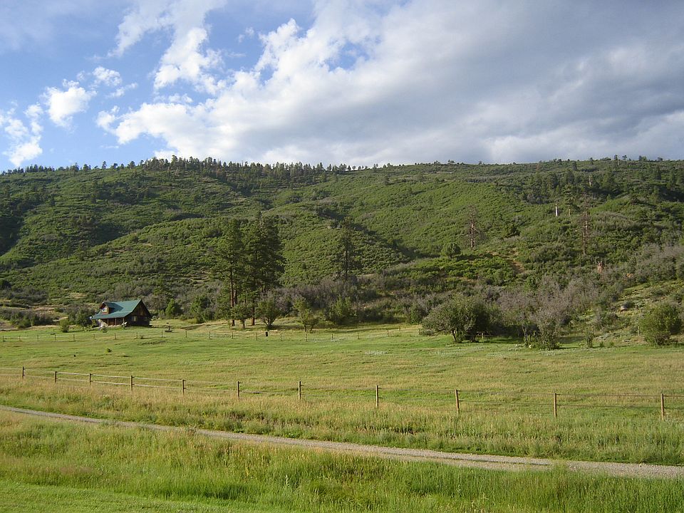View of 5.4 acres and home 