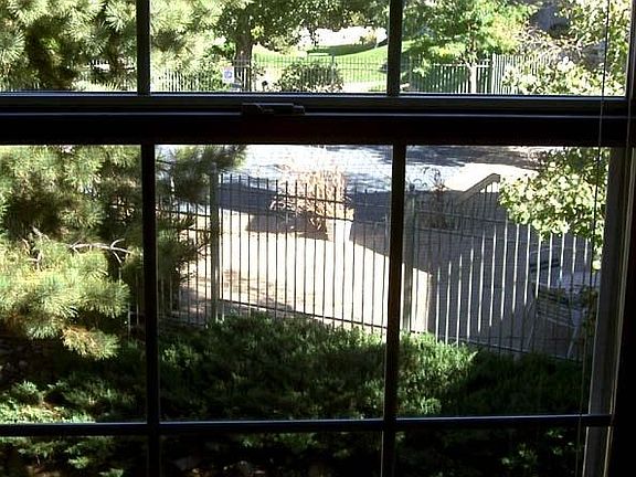 view from great room