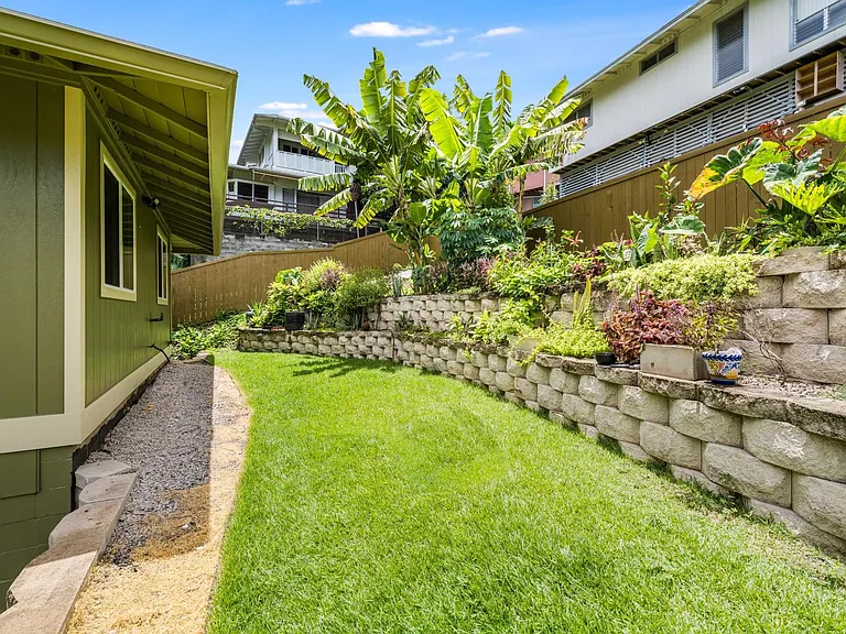 Backyard garden