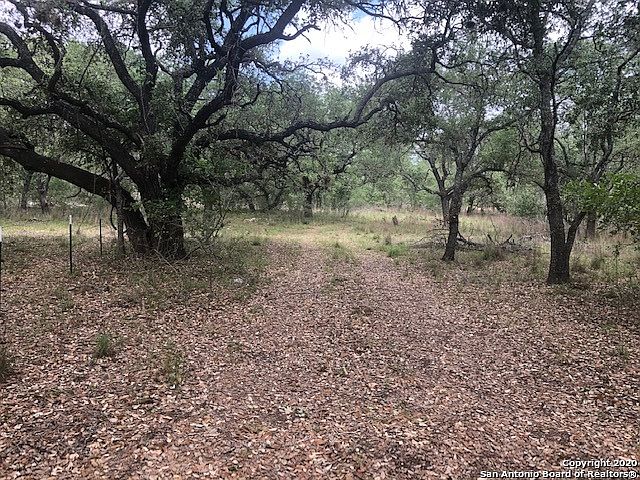 2nd image of 501 Grapeland Dr