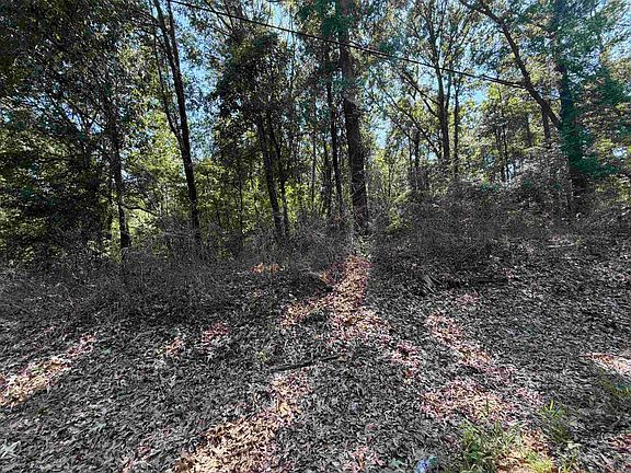 2nd image of Shady Grove Rd