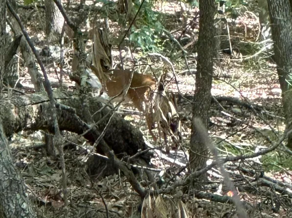 26 Turkey Roost, Dadeville, AL 36853