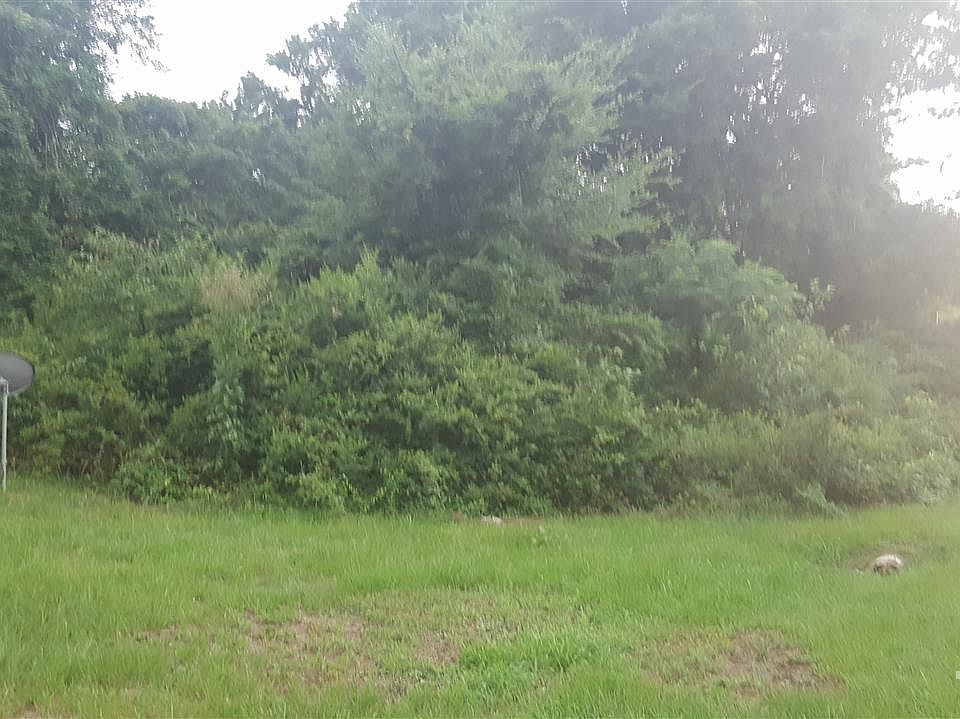 2nd image of 79 Zenobia Ave