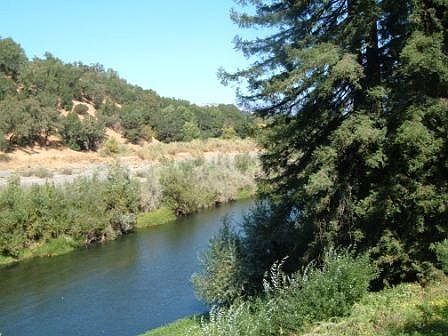 Russian River View