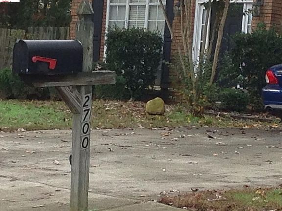 2nd image of 2700 Runnelwood Ln