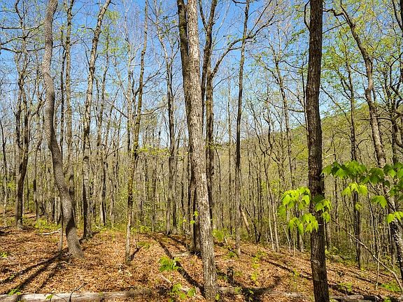 3rd image of 0 Burnt Mountain Rd