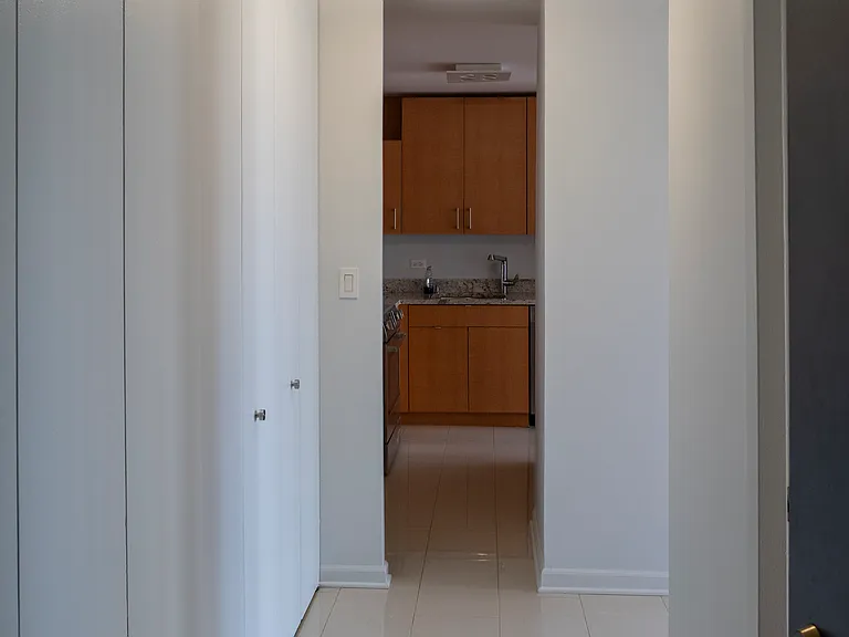 100 E Walton St #22A — Photo 8