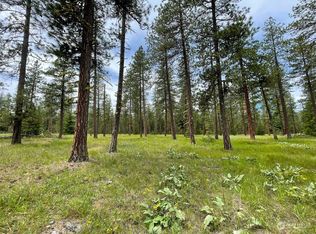 73 Wanawish Loop, Cle Elum, WA 98922