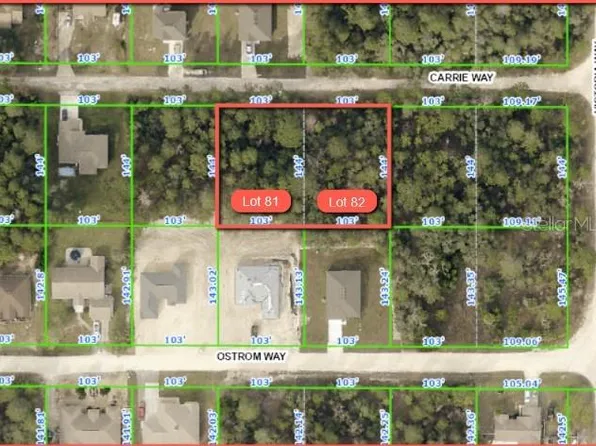 9024 Carrie Way, Brooksville, FL 34613