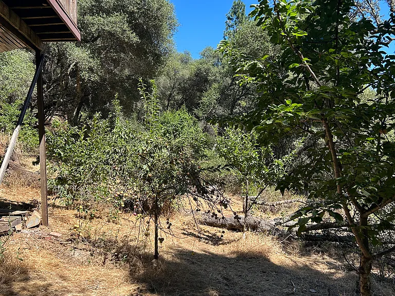 10200 Hideaway Pl — Photo 23