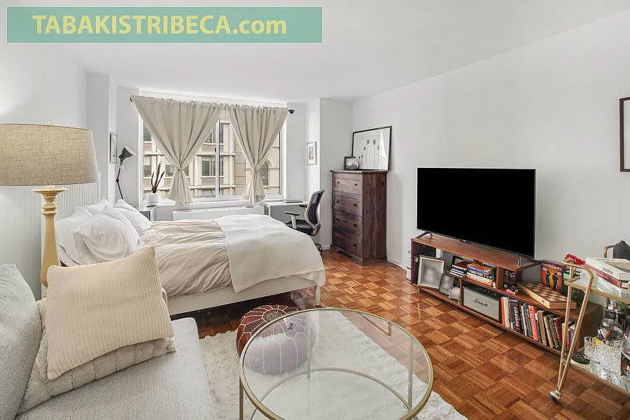 295 Greenwich St #6JN