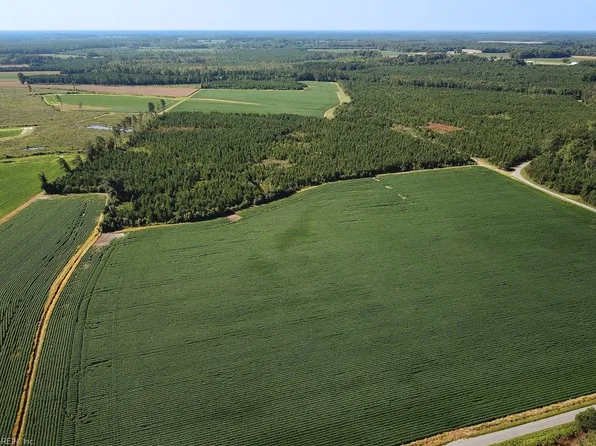 Beal Rd, Newsoms, VA 23874