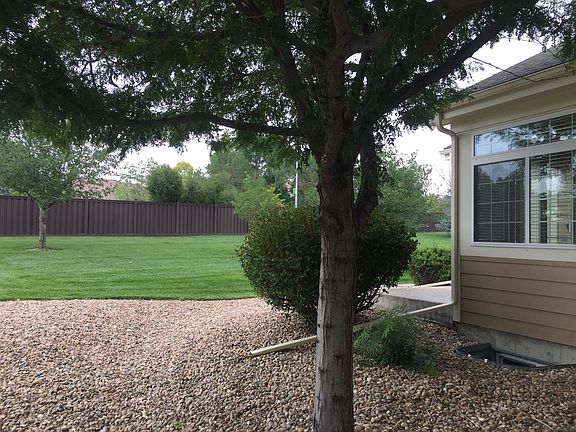 Back yard
