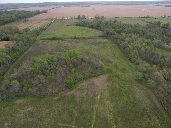 Dji Fly 20260331 091120 137 1774966532140 Photo