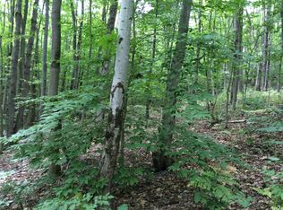 Mountain Rd, Urbana, NY 14840