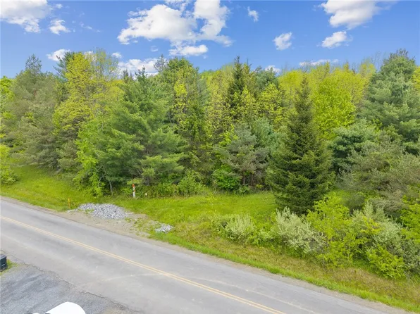 LOT 7C Blackman Hill Rd #13, Berkshire, NY 13736