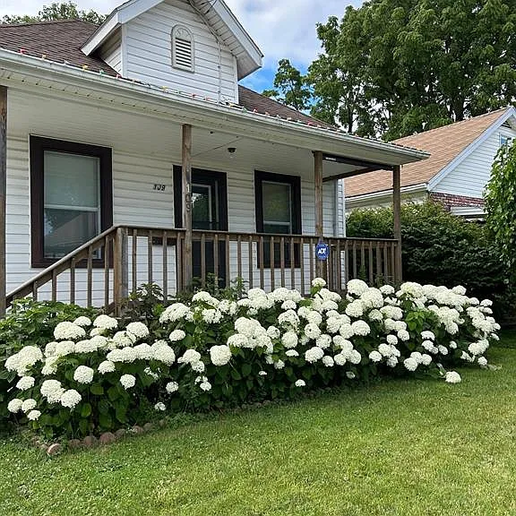 109 Edgar St — Photo 1