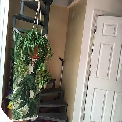 Rented by Nooklyn NYC LLC | media 110