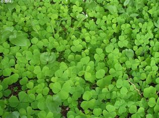 0 E Abernethy Ln, Welches, OR 97067