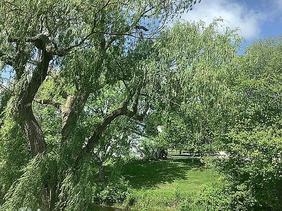 Pond view from upstairs