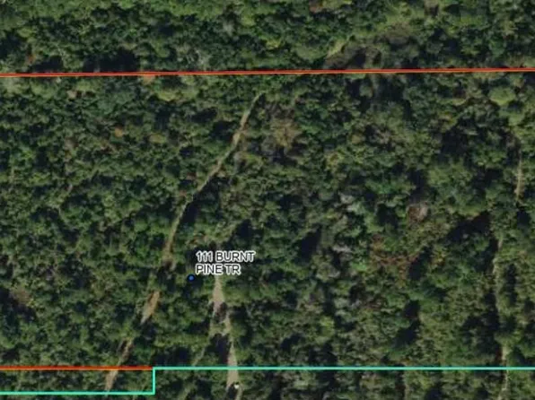 111 Burnt Pine Trl, Quincy, FL 32351