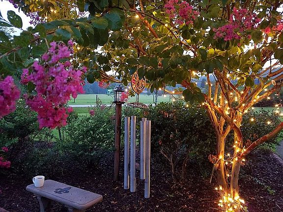 Crepe Myrtle near driveway