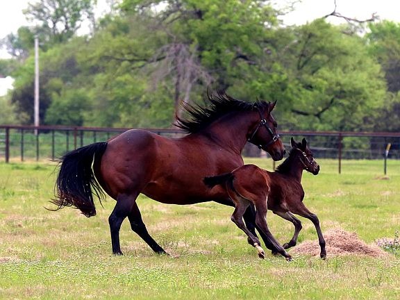 5th image of 10399 Zipper Rd