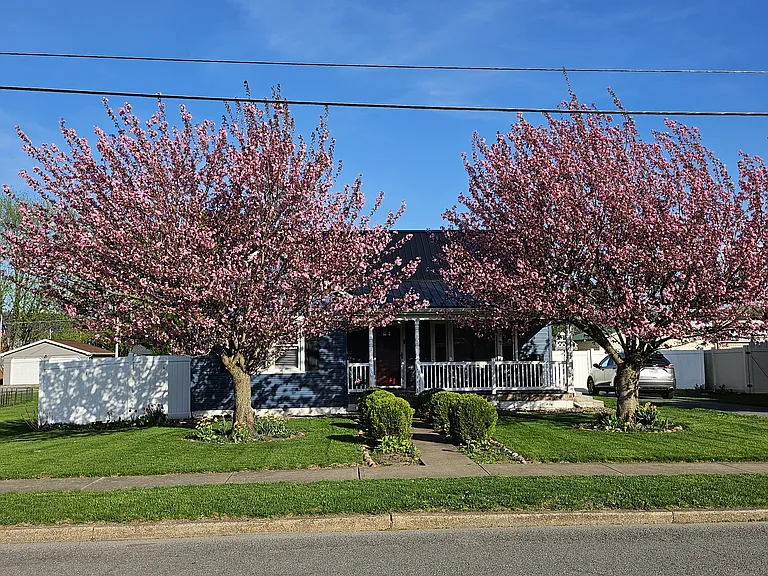 711 Orange St — Photo 16