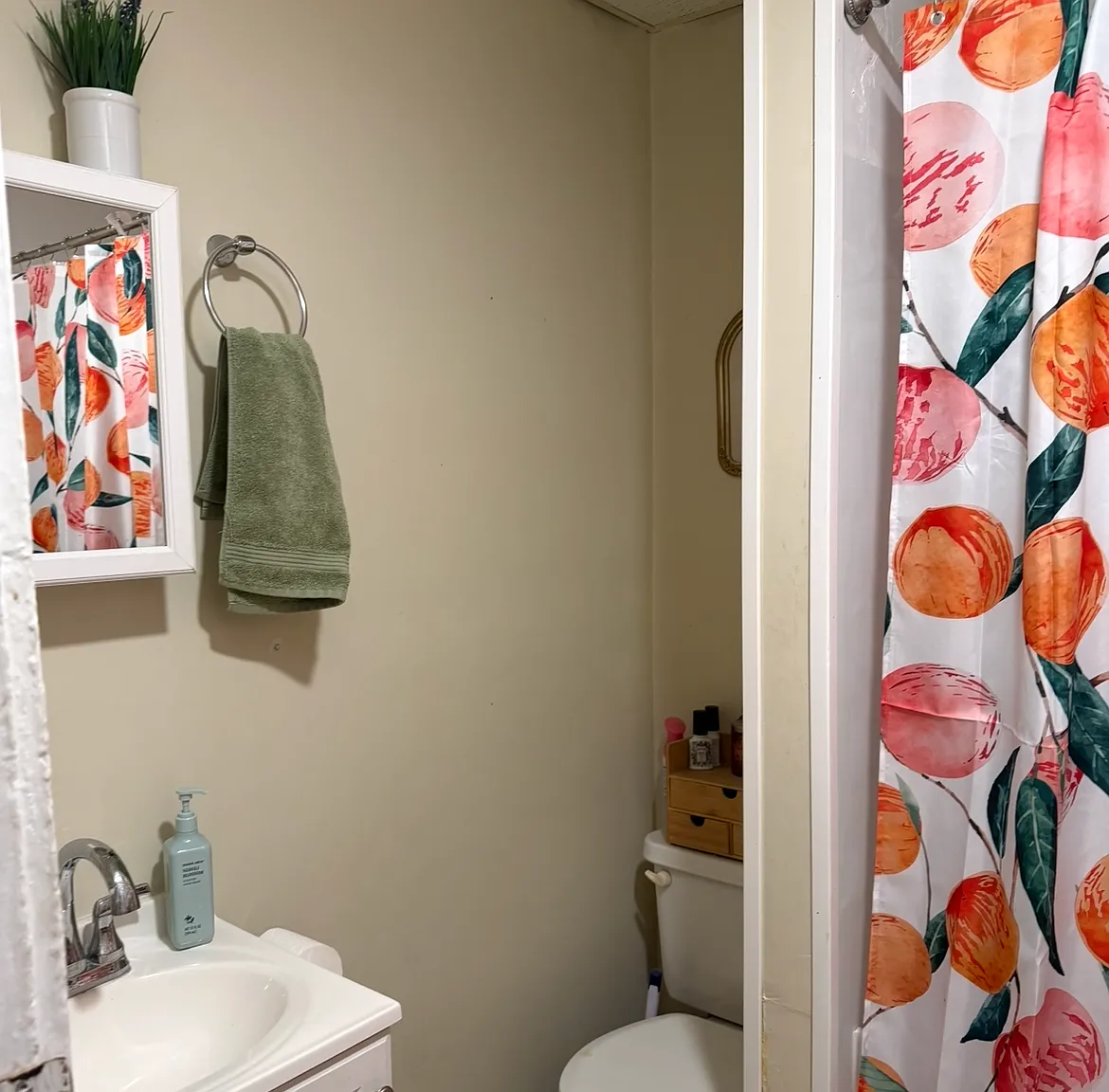 1 bed, $1,000 — Photo 2