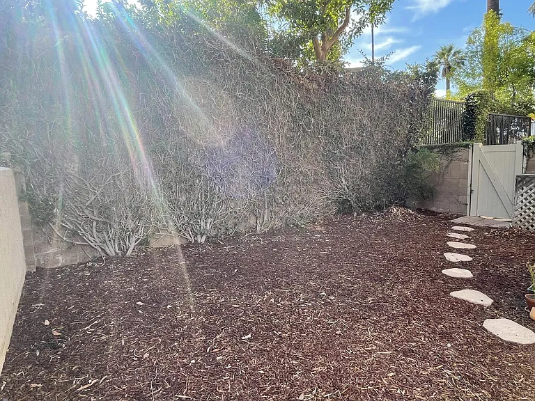 Private back yard, lush green wall was just trimmed, will be green soon!