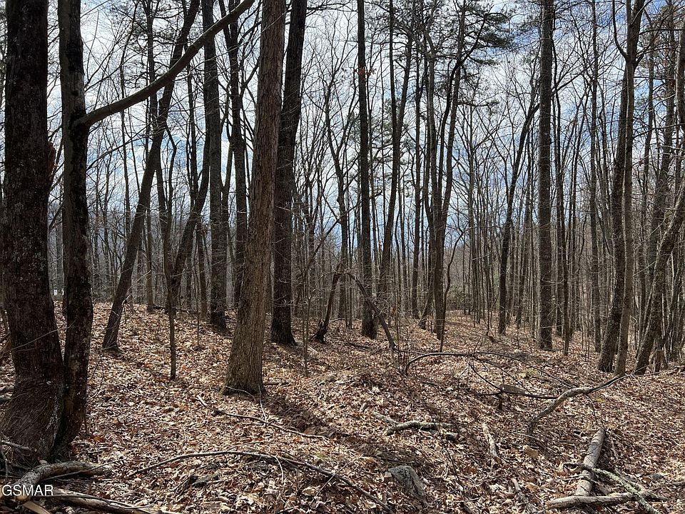1st image of 12 Swann Saddle Rd Lot 12